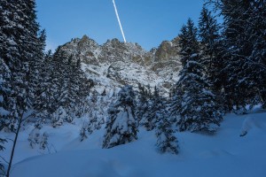 WINTER - MOUNTAINS AND TREES BUNDLE