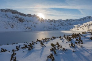 WINTER - MOUNTAINS AND TREES BUNDLE