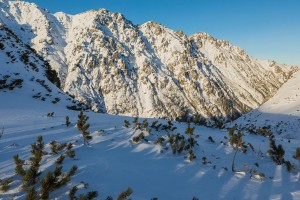 WINTER - MOUNTAINS AND TREES BUNDLE