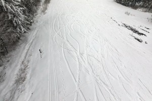 WINTER TREES AERIAL VIEW